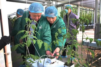 科技赋能 助推农业产业高质量发展——上海市政协开展委员年末视察栽培技术研究活动