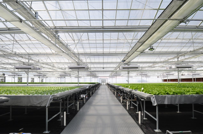 “新质”密码 | 沈阳秋实 “植物工厂”引领农业未来栽培技术研究
