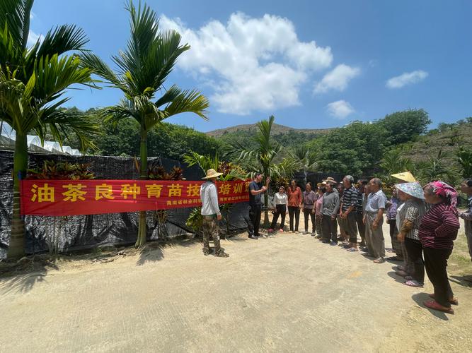 琼中举办油茶良种育苗与栽培技术培训班，助力产业提质增效